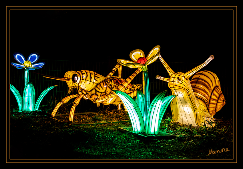 Welt der Insekten
China Light Festival Kölner Zoo 2019 
Schlüsselwörter: China Light Festival