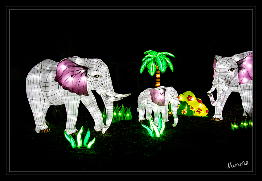 Elefanten-Parade
China Light Festival Kölner Zoo 2019
Schlüsselwörter: China Light Festival