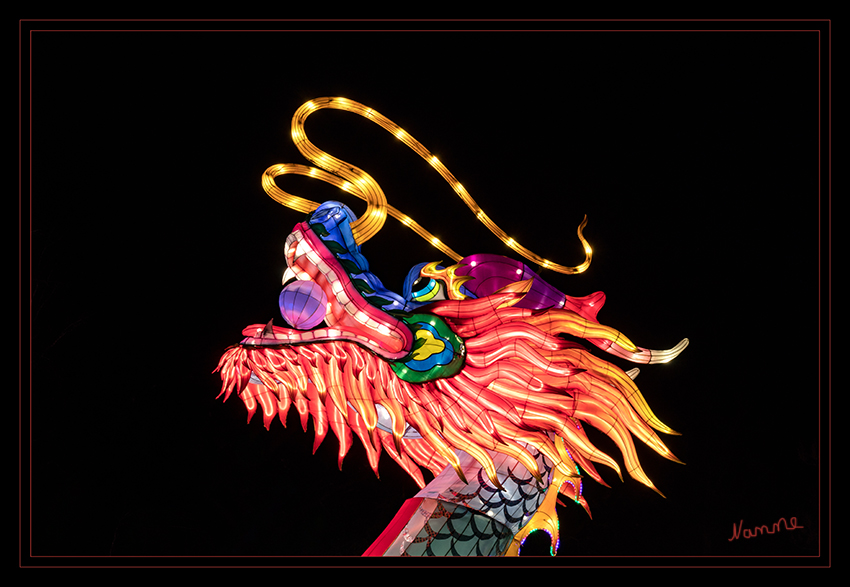 Großer Drachenkopf
China Light Festival Kölner Zoo 2019 
Schlüsselwörter: China Light Festival