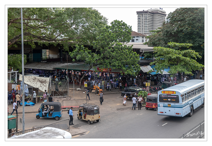Colombo Stadtimpressionen
Das Handelsviertel Pettah, hier wird noch wie vor hunderten von Jahren ver- und gehandelt; die Waren sind teilweise etwas neuer geworden, es gibt aber nach wie vor gebrauchte Armbanduhren, etc. zu kaufen.
Schlüsselwörter: Sri Lanka, Colombo