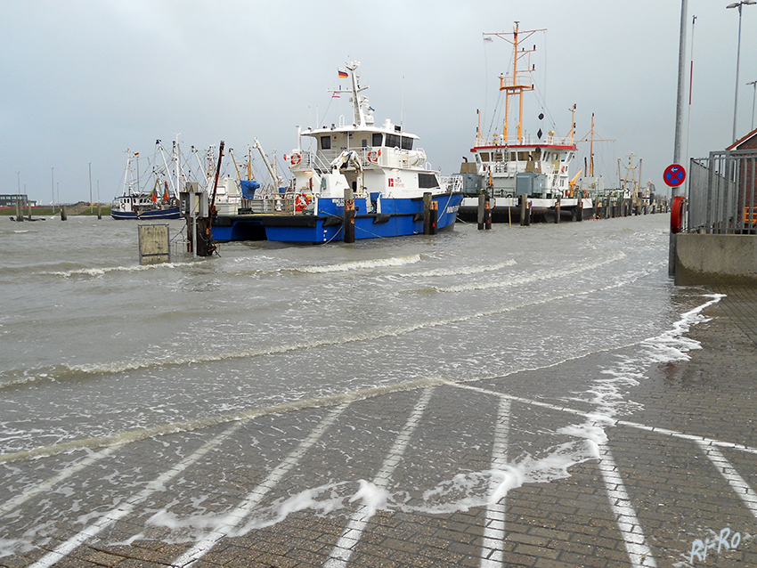 Im Fischereihafen 
Überflutete Straße aufgenommen im Jan.2019 
Schlüsselwörter: Nordsee,