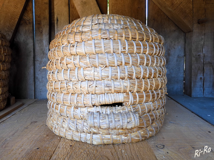 Bienenkorb
Natur erleben in der Westruper Heide. Eine alt hergebrachte Art des Imkerns, ist das Imkern mit einem Bienenkorb.
Schlüsselwörter: Herbst; Heide