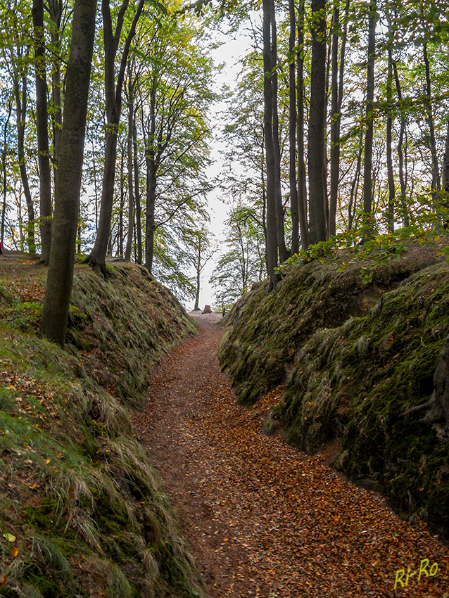 Granitzwald
Flach abfallender Hohlweg, in der sogenannten Teufelsschlucht. Hier gelangt man direkt vom Waldgebiet an den Strand.
Schlüsselwörter: Ostsee,Granitzwald