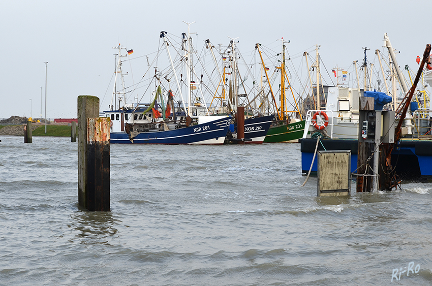 Fischerboote bei Flut 
im Hafen Norddeich
Schlüsselwörter: Nordsee,