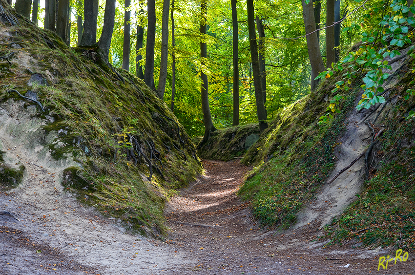 Granitzwald
Flach abfallender Hohlweg, in der sogenannten Teufelsschlucht. Hier gelangt man direkt vom Waldgebiet an den Strand.
Schlüsselwörter: Ostsee,Granitzwald