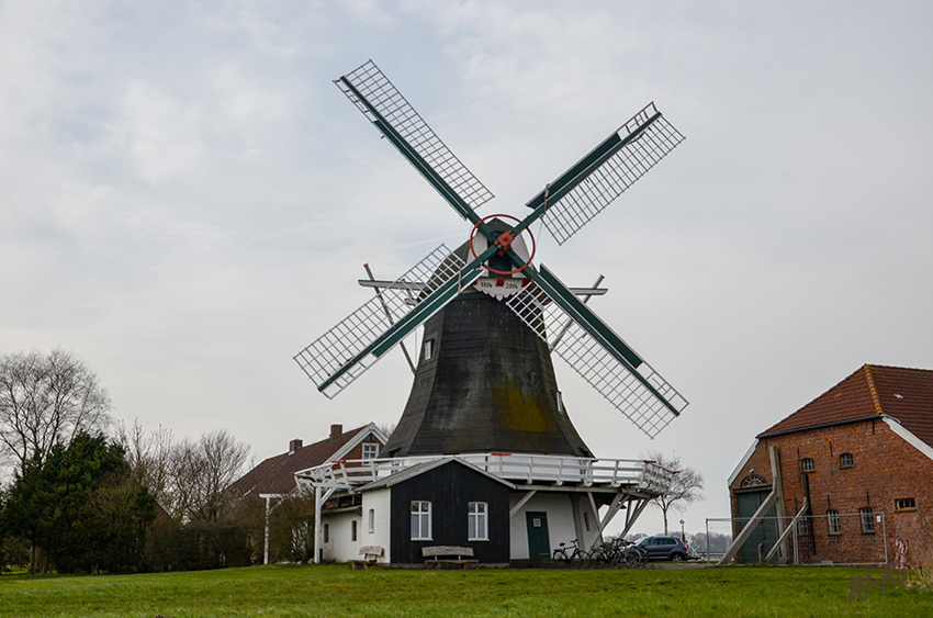 Mühle in Neuharlingersiel
Seriemer Mühle von 1904 einstöckiger Galerieholländer
Schlüsselwörter: Windmühle, Nordsee