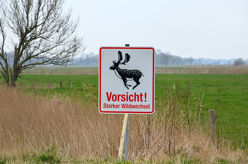 Gesehen in Ostfriesland
Schlüsselwörter: Norddeich, Nordsee,