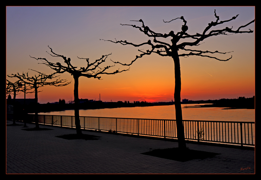 Sonnenuntergang
Schlüsselwörter: Sonnenuntergang