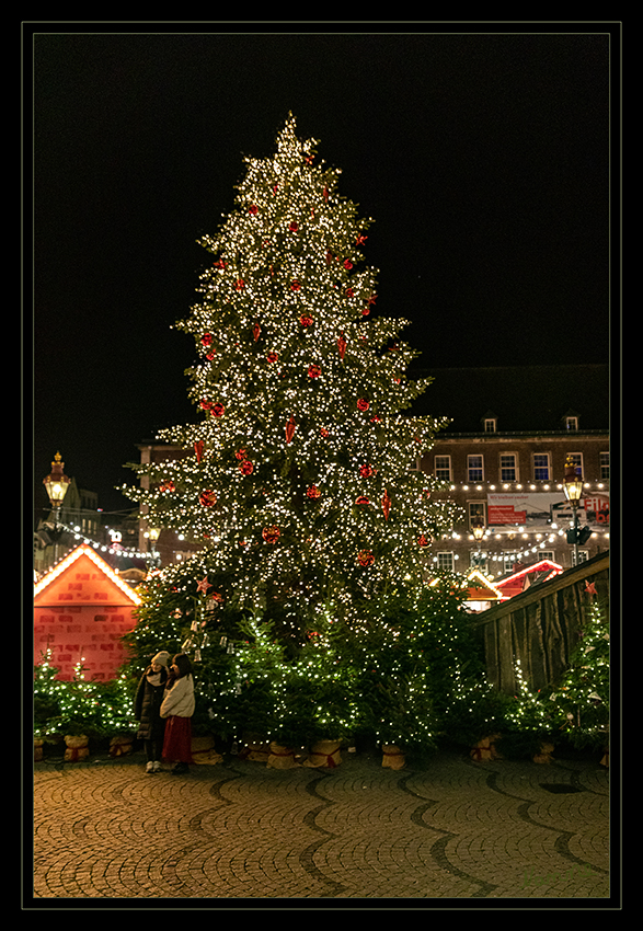 51 - Weihnachtsbaum
2019
Schlüsselwörter: Düsseldorf;