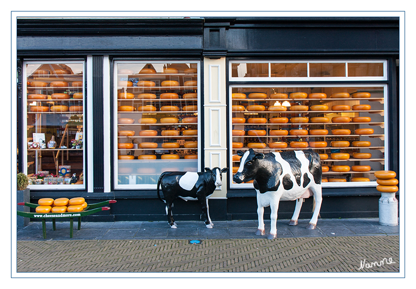 Käsegeschäft
am Marktplatz von Delft
Schlüsselwörter: Holland Käsegeschäft