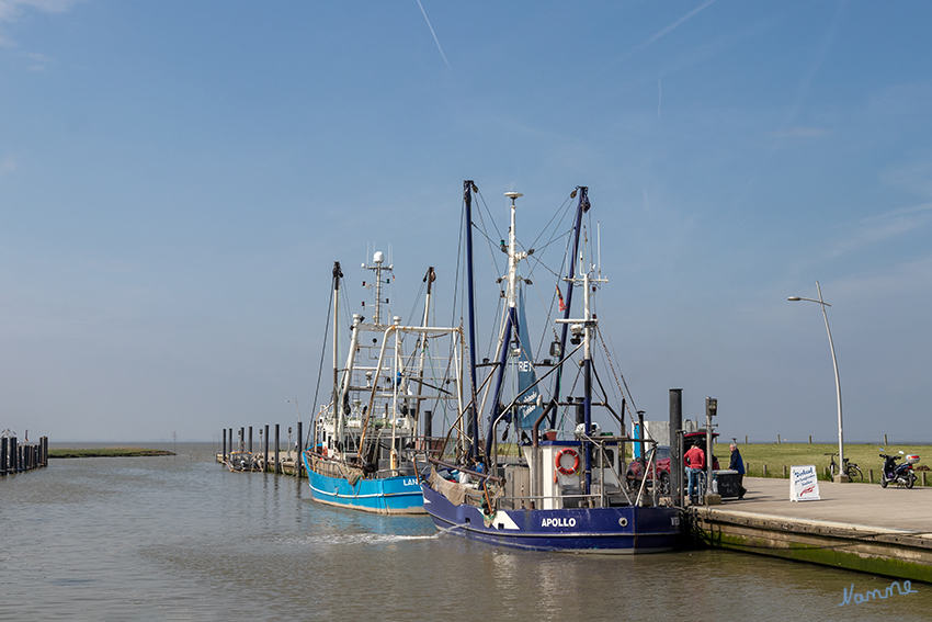 Kutter im Wremer Hafen
Der Wremer Hafen unterliegt den Gezeiten der Nordsee. Der mittlere Tiedenhub, die Differenz zwischen Hoch- und Niedrigwasser, liegt am Wremer Tief bei mehr als 3m. Der Kutterhafen kann daher nur Gezeitenabhängig genutzt werden. Bei Ebbe fallen sowohl Hafenbecken als auch Fahrrinne fast trocken. laut wasserundeis
Schlüsselwörter: Cuxhaven