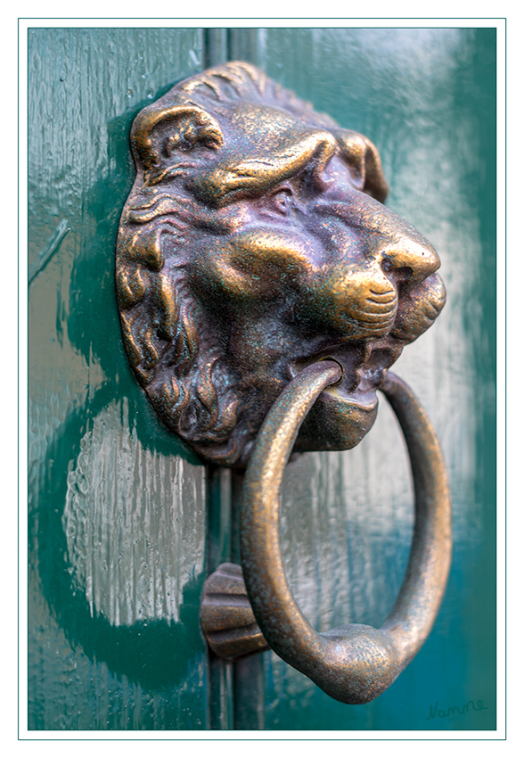 10 - Detail einer Tür
Türklopfer als Löwenkopf
Schlüsselwörter: Türklopfer, Löwenkopf