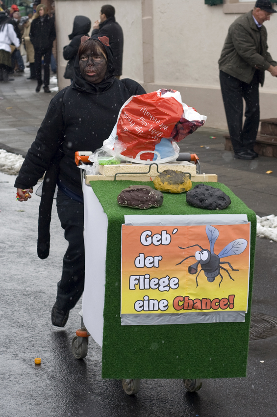 Die Fliegen sind überall
Tulpensonntagsumzug
Schlüsselwörter: Karneval