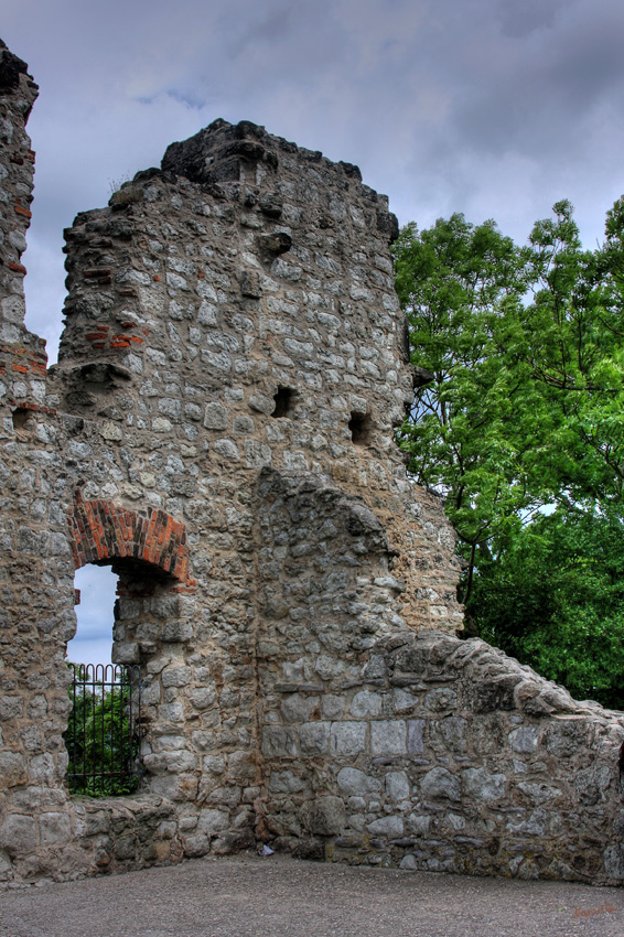 Burg Drachenfels
Ihre Bedeutung als Schutz für Bonn verlor sie durch den Bau der Stadtmauer Mitte des 13. Jahrhunderts. 
1634 war die Burg beschädigt und wurde nicht mehr repariert.
Schlüsselwörter: Burg Drachenfels