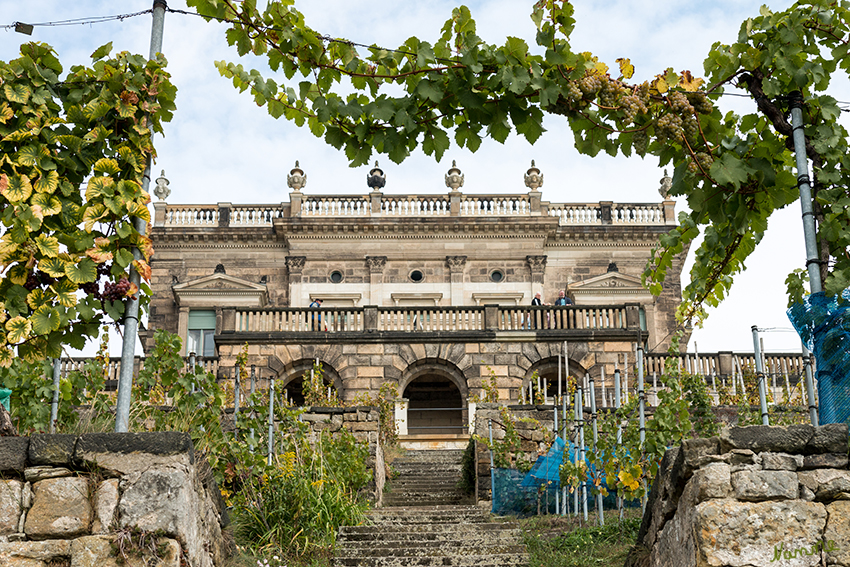 Dresden - Elbschlösser
Historischer Weinberg Lingnerschloss
Schlüsselwörter: Dresden, Elbschlösser