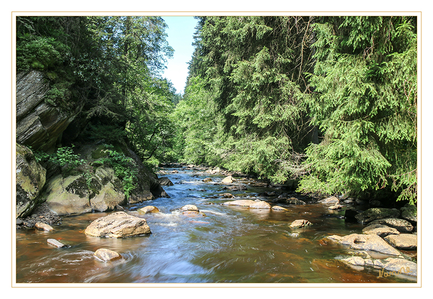 Bachlauf
Schlüsselwörter: Eifel, Bach