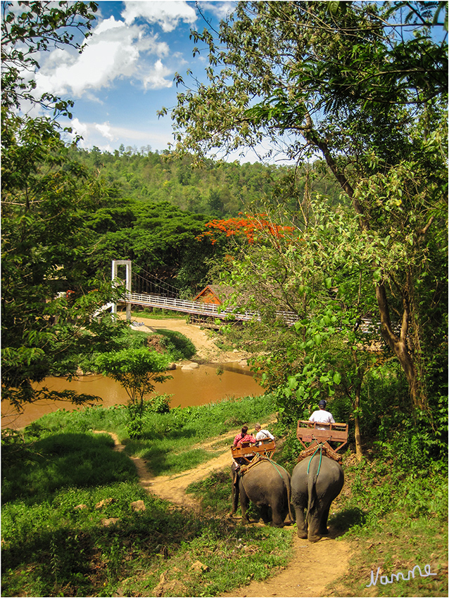 Elefantenausritt
Schlüsselwörter: Thailand Elefanten Reiten Camp