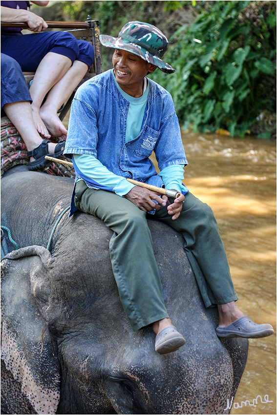 Elefantenausritt
Schlüsselwörter: Thailand Elefanten Reiten Camp