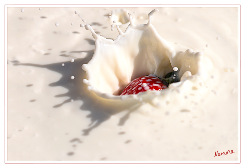 Erdbeer - Milch
Schlüsselwörter: Milch    Erdbeere