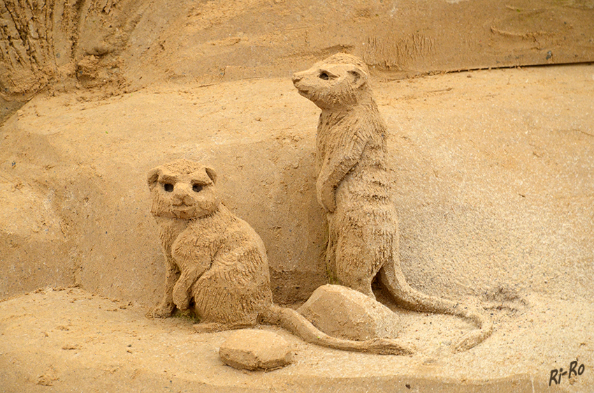 Sandskulpturen - Erdmännchen
Schlüsselwörter: Sandskulpturen