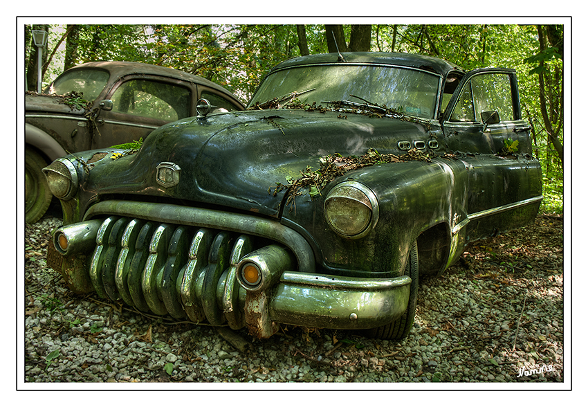 Evergreen
Buick im Autoskulpturenpark Neandertal
Schlüsselwörter: Autoskulpturenpark              Neandertal             Fröhlich