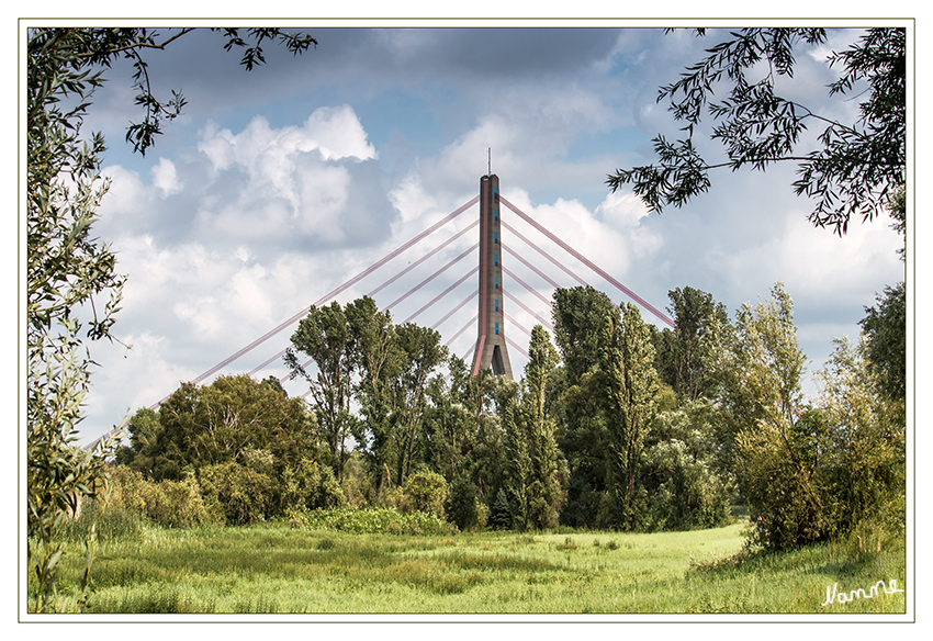 Umrahmt
von der Natur.
Die Fleher Brücke hat den höchsten Brückenpylon in Deutschland und die größte Spannweite aller Schrägseilbrücken in Deutschland.
laut Wikipedia
Schlüsselwörter: Fleher Brücke Stahlseile