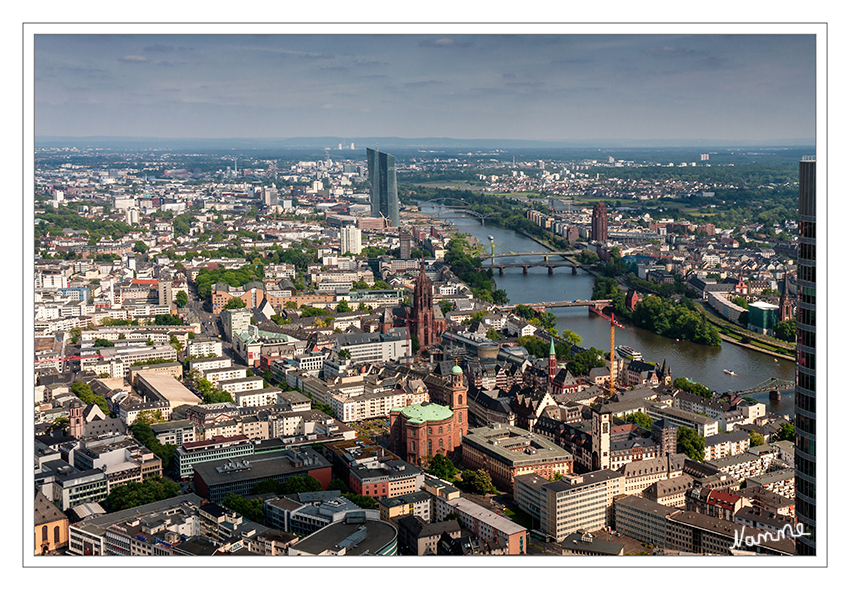 Ausblick
auf den Main in Frankfurt vom HELABA Main Tower
Schlüsselwörter: Frankfurt HELABA