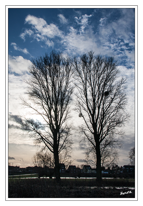 Gegenlicht
Dieser blaue Himmel war nach kurzer Zeit vorbei
