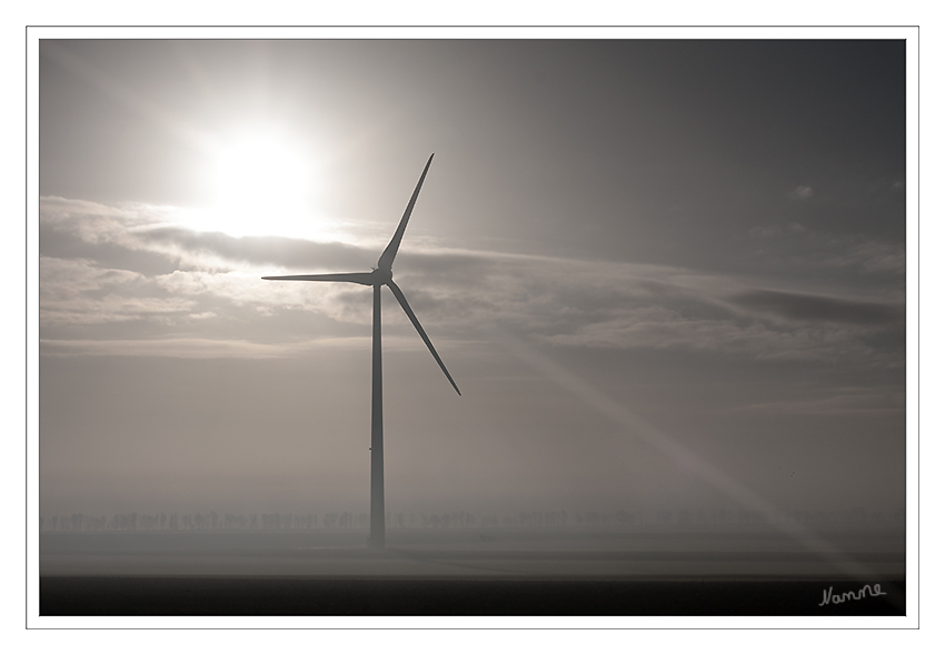 Novemberlicht
Kalt, diesig, nass und dann die Sonne.
So ist der November für mich schön
Schlüsselwörter: Windkraft Felder Herbst