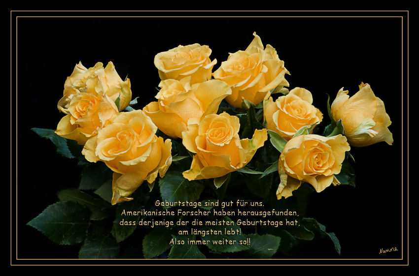 Herzlichen Glückwunsch
Schlüsselwörter: Gelbe Rosen