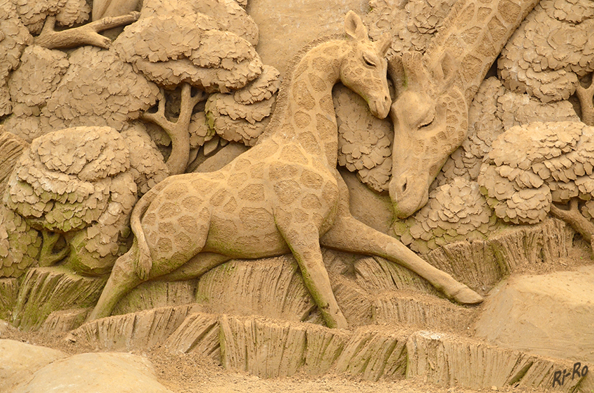 Sandskulpturen - Giraffen
Schlüsselwörter: Sandskulpturen