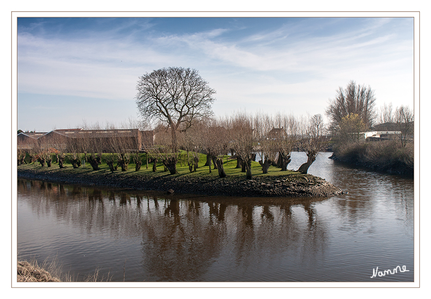 Aussicht
auf der anderen Straßenseite gegenüber der Windmühle
Schlüsselwörter: Holland Gouda