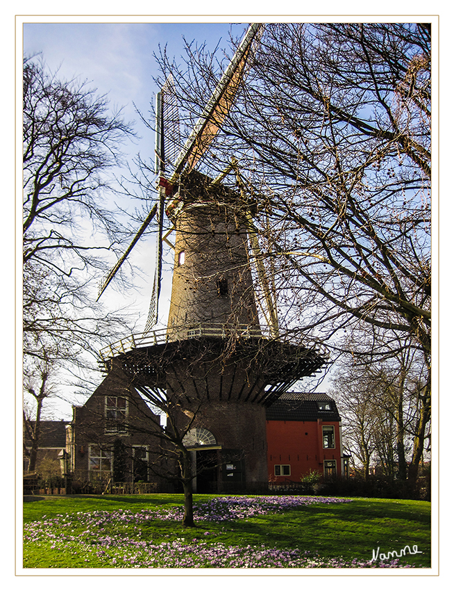 Windmühle in Gouda
Niederländischen Korn-Mühle im Gouda genannt "'t-Schlitz" ("das Schloss") in der Stadt des Goudas.
Schlüsselwörter: Holland Gouda Windmühle