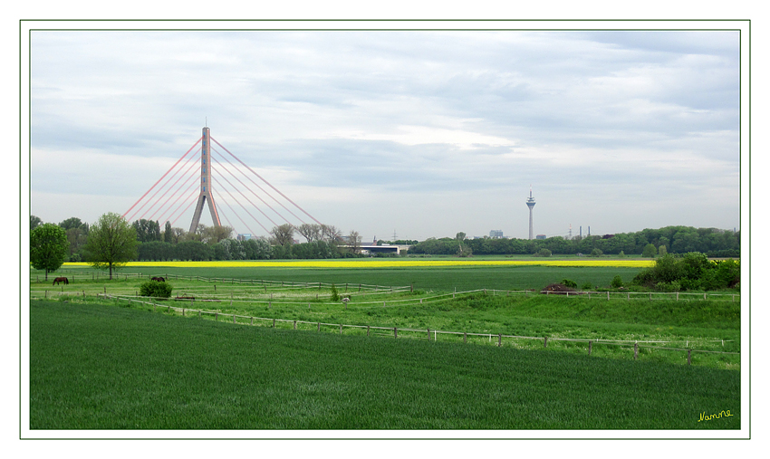 Mit dem Fahrrad unterwegs
Im Hintergrund die Fleher Brücke und der Fernsehturm von Düsseldorf
Schlüsselwörter: Grimlinghausen Fleher Brücke Fernsehturm