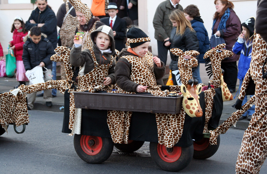 Früh übt sich
Tulpensonntagsumzug Grefrath
Schlüsselwörter: Karneval     Tulpensonntag     Grefrath