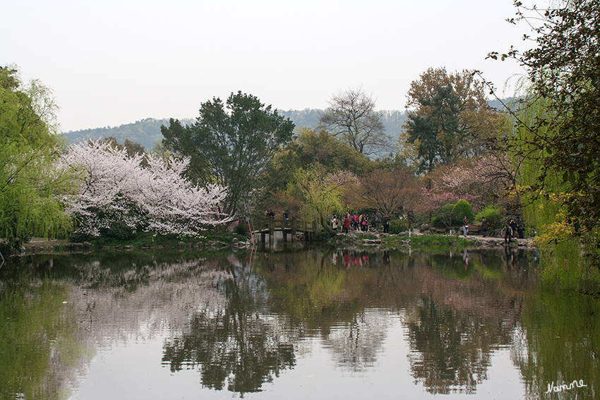 Huagang Park
in Hangzhou
Die "Fischschau an der Blumenbucht" ist der Name des Parks. Früher war hier ein privater Garten von einem Kaiserhofsbeamten in der Südlichen Song-Dynastie.
Schlüsselwörter: Hangzhou Huagang Park