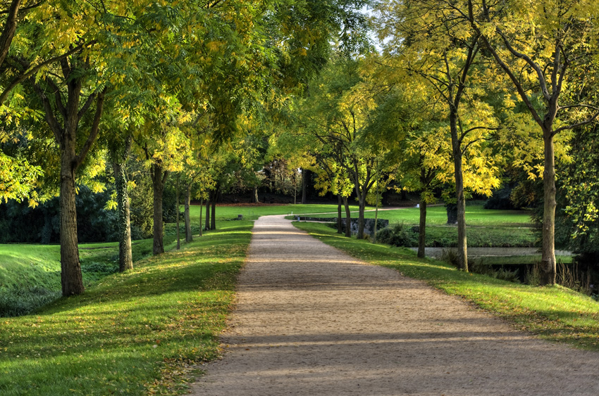 Die Farben des Herbstes
sind immer wieder ein Erlebnis
