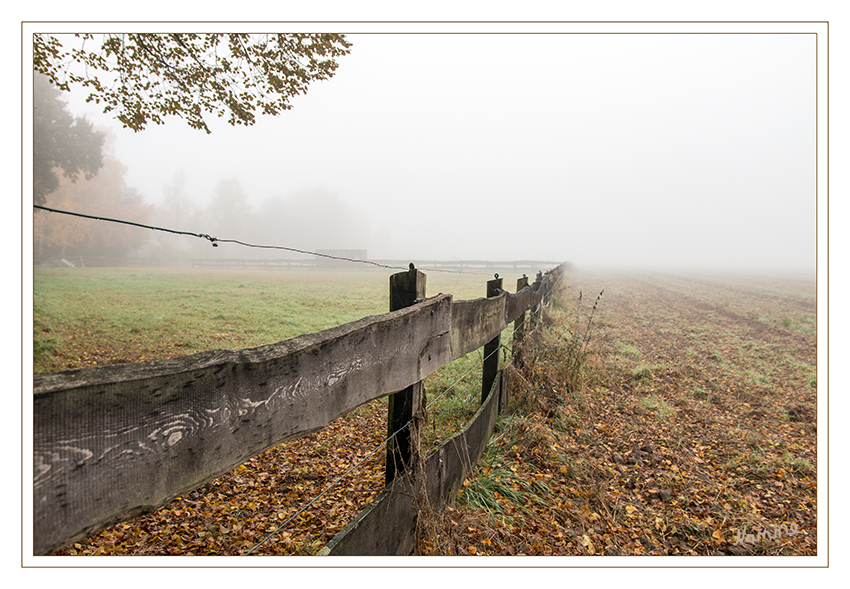 Herbstlich
Heute wirkt bekanntes durch den Nebel völlig anders.
Schlüsselwörter: Nebel