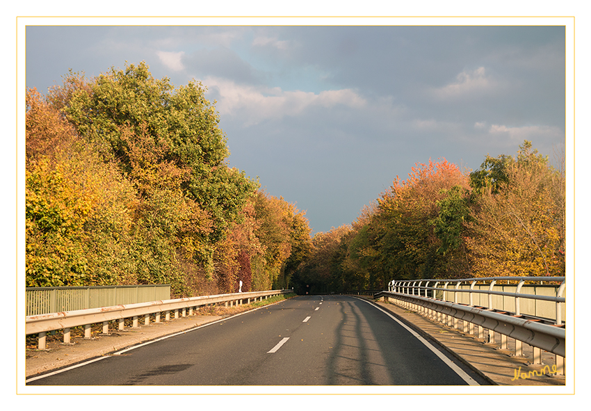 Der Weg nach hause
Schlüsselwörter: Herbst, Farben