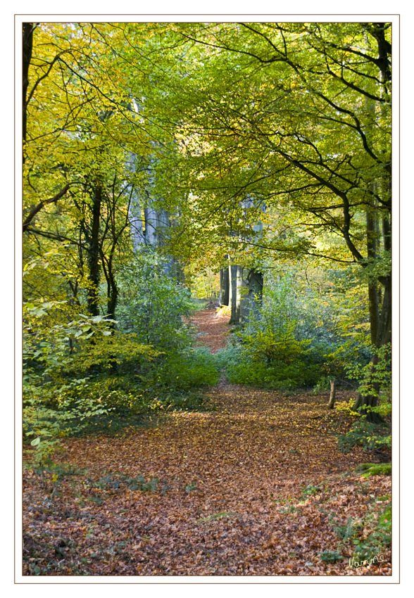 Dieser Weg.....
Liedberg
Schlüsselwörter: Liedberg