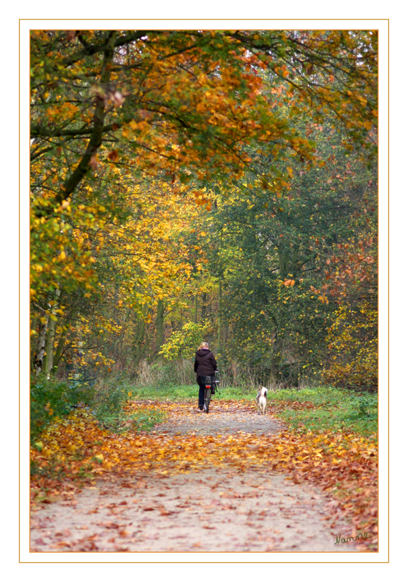 Herbstweg
Schlüsselwörter: Herbstfarben