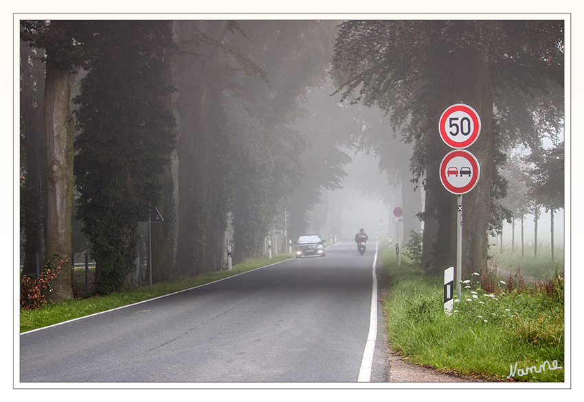 Nebelig
Schlüsselwörter: Nebel