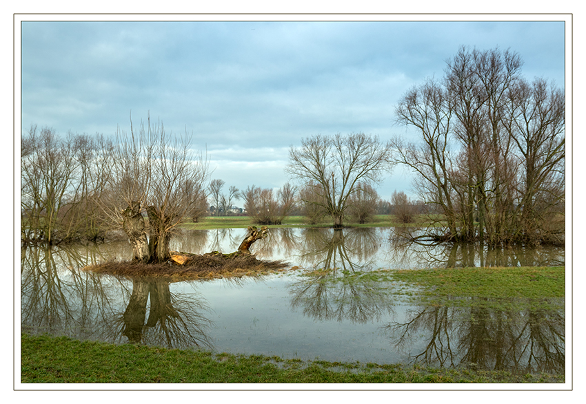 Hochwasser
Spiegelungen
Schlüsselwörter: Rhein, Hochwasser