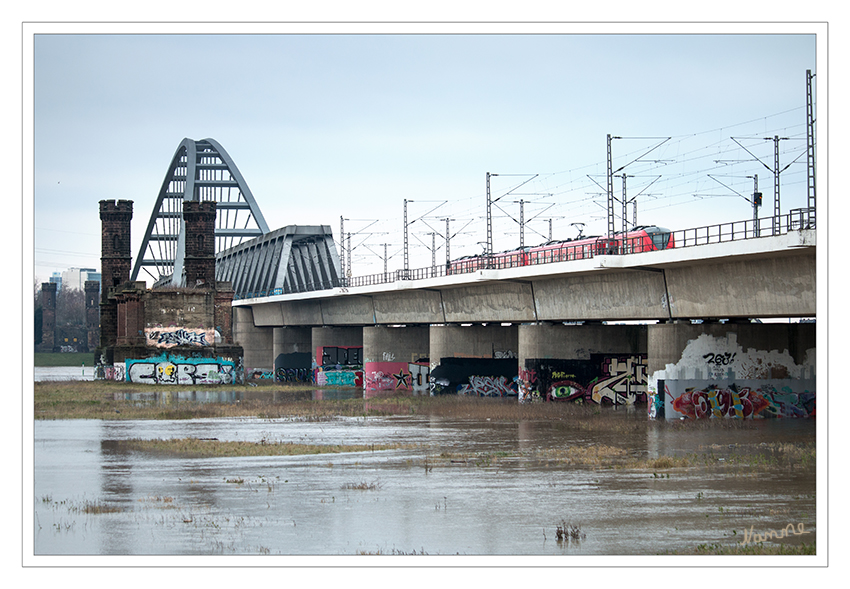 Hochwasser
am Rhein. Die Schifffahrt ist eingestellt.
Nun soll das Wasser aber langsam zurück gehen. 
Schlüsselwörter: Rhein, Hochwasser