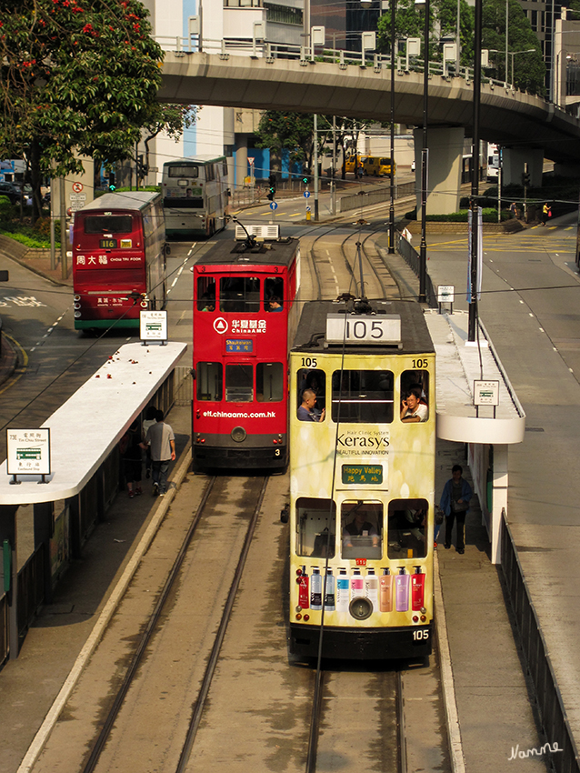 Hongkong Impressionen
Die Hong Kong Tramways, oder auch Ding Ding genannt, im nördlichen Teil von Hong Kong Island ist eine Straßenbahn, die seit 30. Juli 1904 über die Gleise fährt und scheinbar nicht in das High-Tech-Bild Hongkongs passen will. Die auf einem 23,8 Kilometer langen Netz relativ langsam fahrenden zweistöckigen und altertümlichen Tramwagen sind nicht nur bei Touristen beliebt, denn die Fahrpreise sind sehr niedrig.
Schlüsselwörter: Hongkong