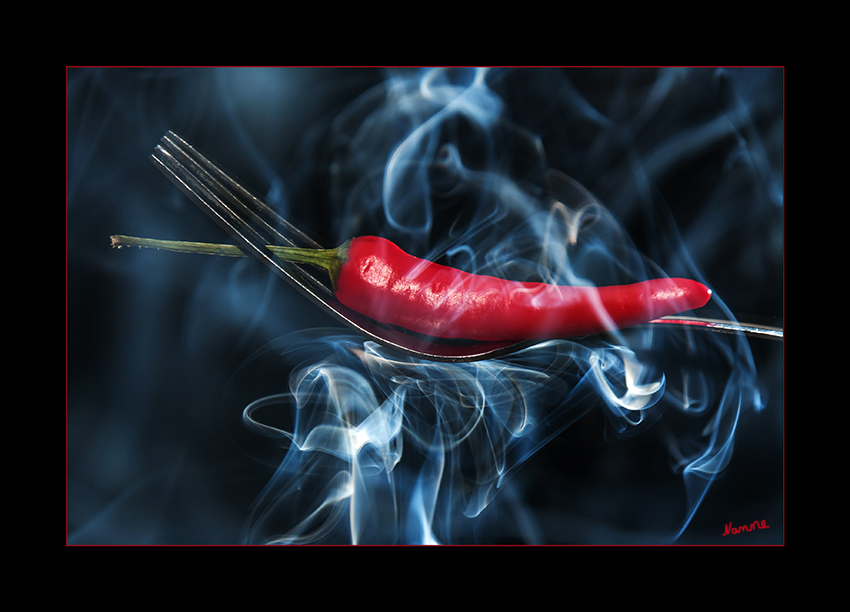 Hot Chilli
Schlüsselwörter: Chilli                     Hot