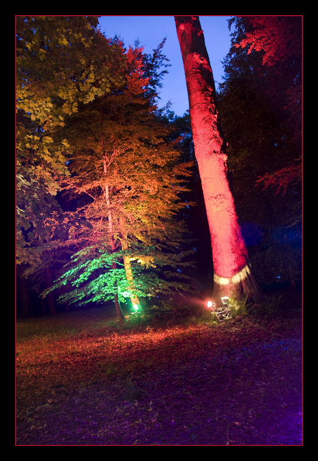 Mystisch
Geheimnisvoll wirken Bäume und Sträucher wenn sie farblich in Szene gesetzt werden.

Illumina 2010
Schlüsselwörter: Illumina                     Schloß Dyck