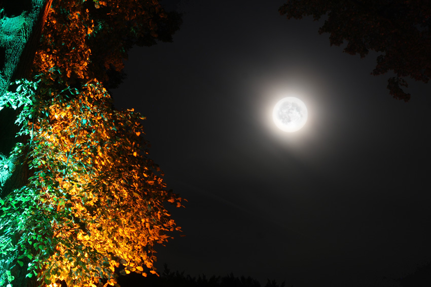 Der Mond
auf der Illumina bietet einen schönen Kontrast
