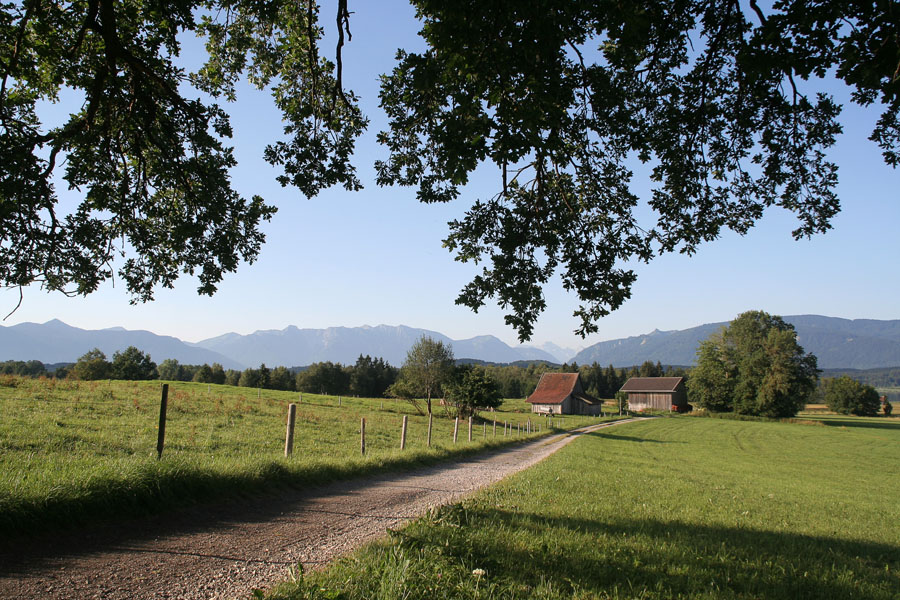 Der Ausblick
von der Bank unter dem Baum
Im Naturschutzgebiet Uffing
Schlüsselwörter: Uffing, Natur, Naturschutzgebiet