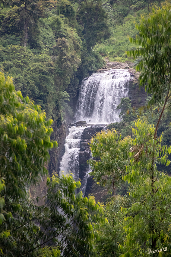 In den Bergen
Die Region des bekannten Ceylon Tees. Ein abwechslungsreiches Kontrastprogramm mit Teeplantagen, Wasserfällen, Flüssen, dichtem Dschungel, Graslandschaften und einer bunten Tierwelt.
Schlüsselwörter: Sri Lanka,   Berge,    Wasserfall